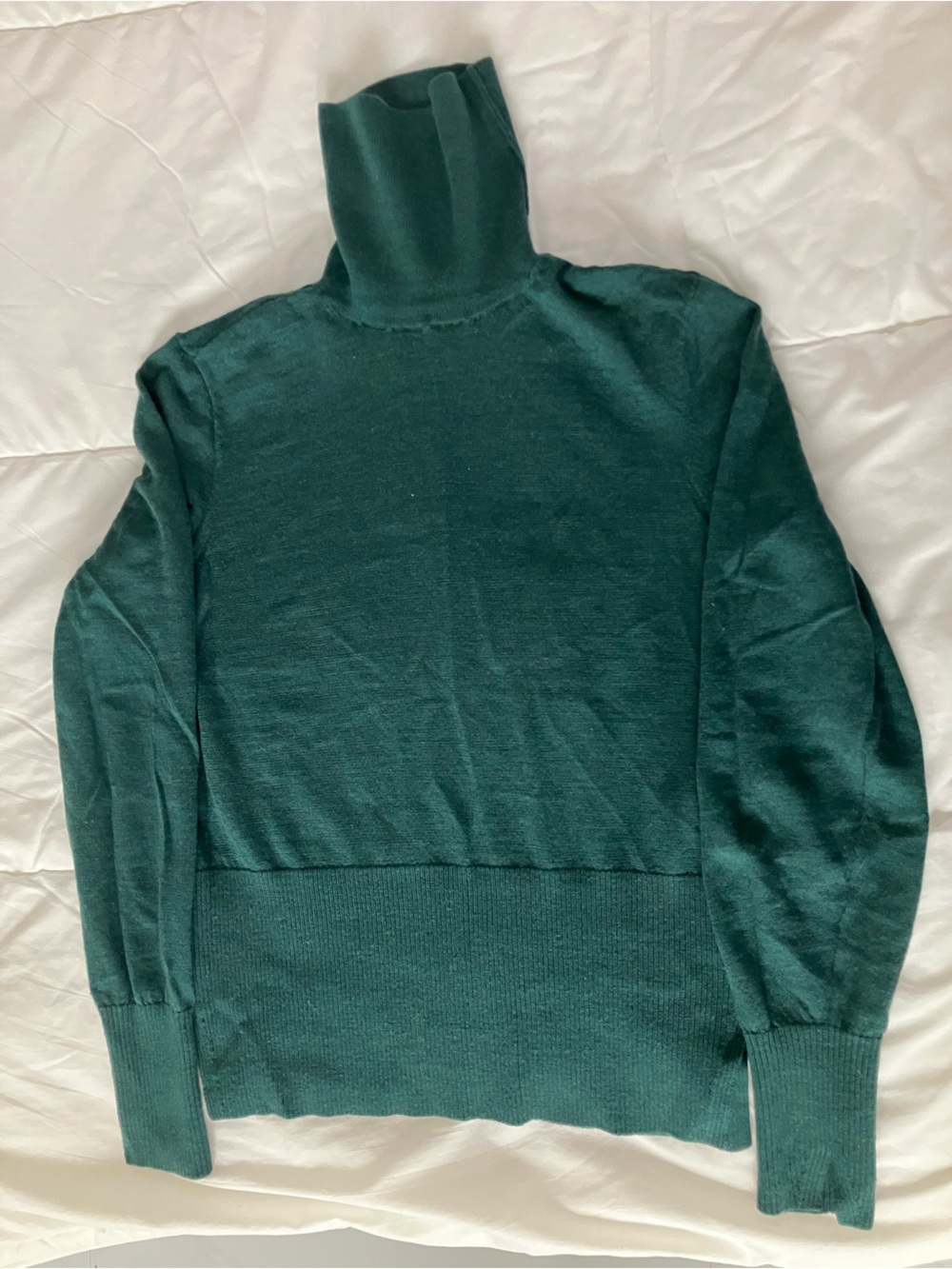 Everlane Deep Teal Off-Shoulder Turtleneck Sweater
